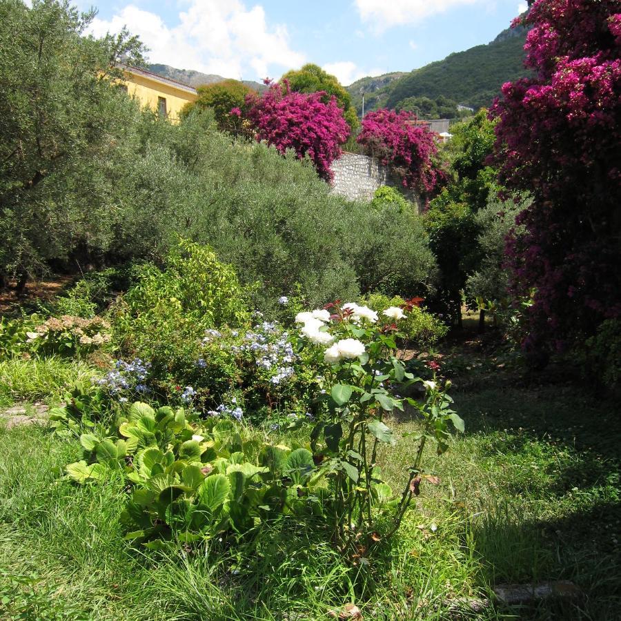 Casa Puccini B&B מראטיאה מראה חיצוני תמונה