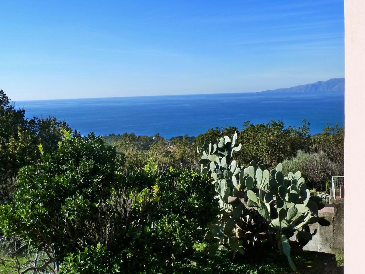 Casa Puccini B&B מראטיאה מראה חיצוני תמונה