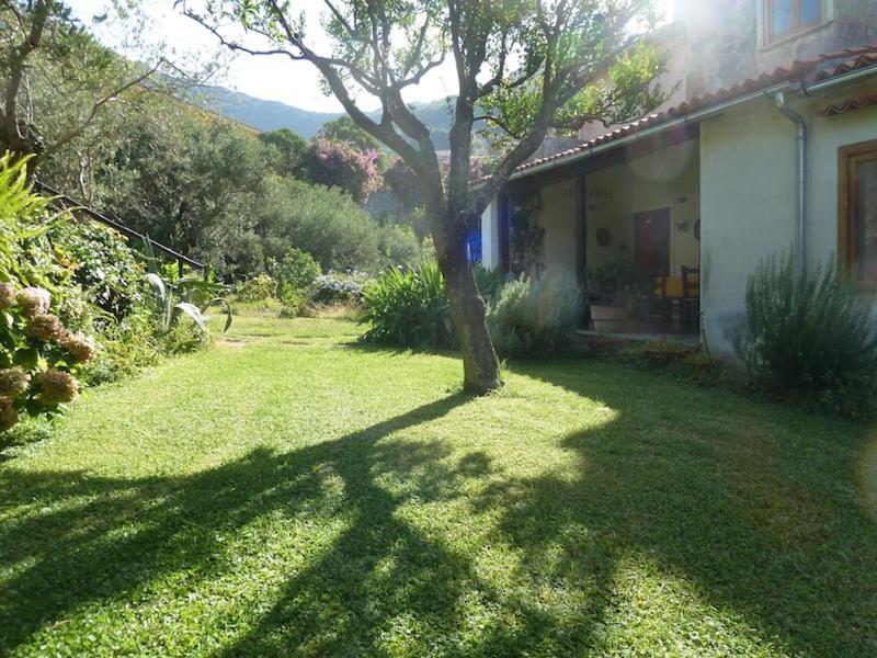 Casa Puccini B&B מראטיאה מראה חיצוני תמונה