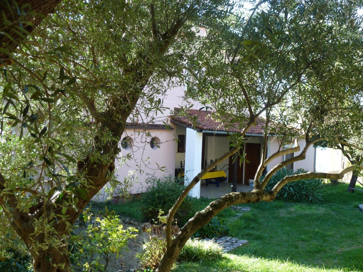 Casa Puccini B&B מראטיאה מראה חיצוני תמונה