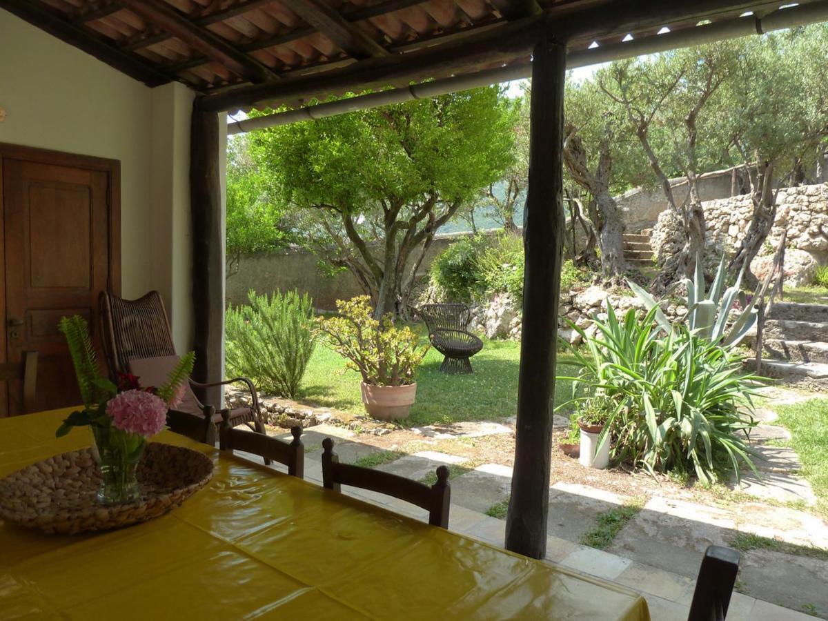 Casa Puccini B&B מראטיאה מראה חיצוני תמונה